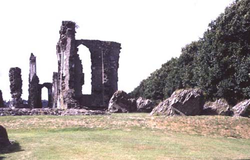 Neath Abbey from the East