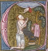 Illuminated initial, showing flagellation[From the 'Omne Bonum' of Jacobus Anglicus]