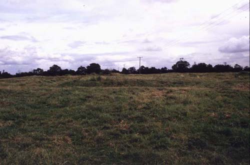 Meaux Cloistral Earthworks