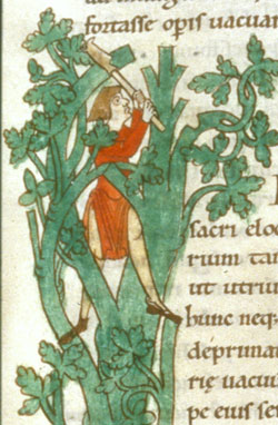 MS 173: f 41r: the above image, from the Moralia in Job, shows a laybrother felling a tree.© Bibliotheque Municipal, Dijon