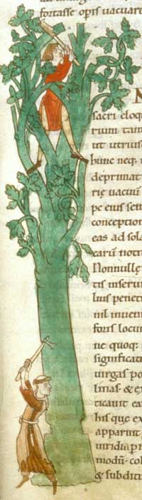 The initial ·Q· from the Moralia in Job depicts a Cistercian monk reaping corn