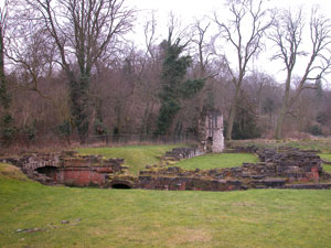The remains of the infirmary at Roche abbey