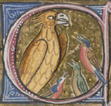 Illuminated initial, showing birds